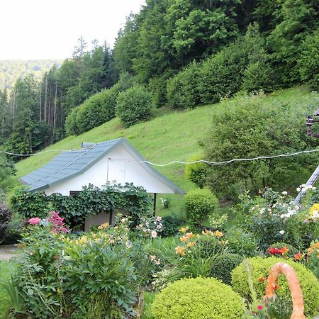 Котедж "Красний Краєвид" ヤレムチャ エクステリア 写真